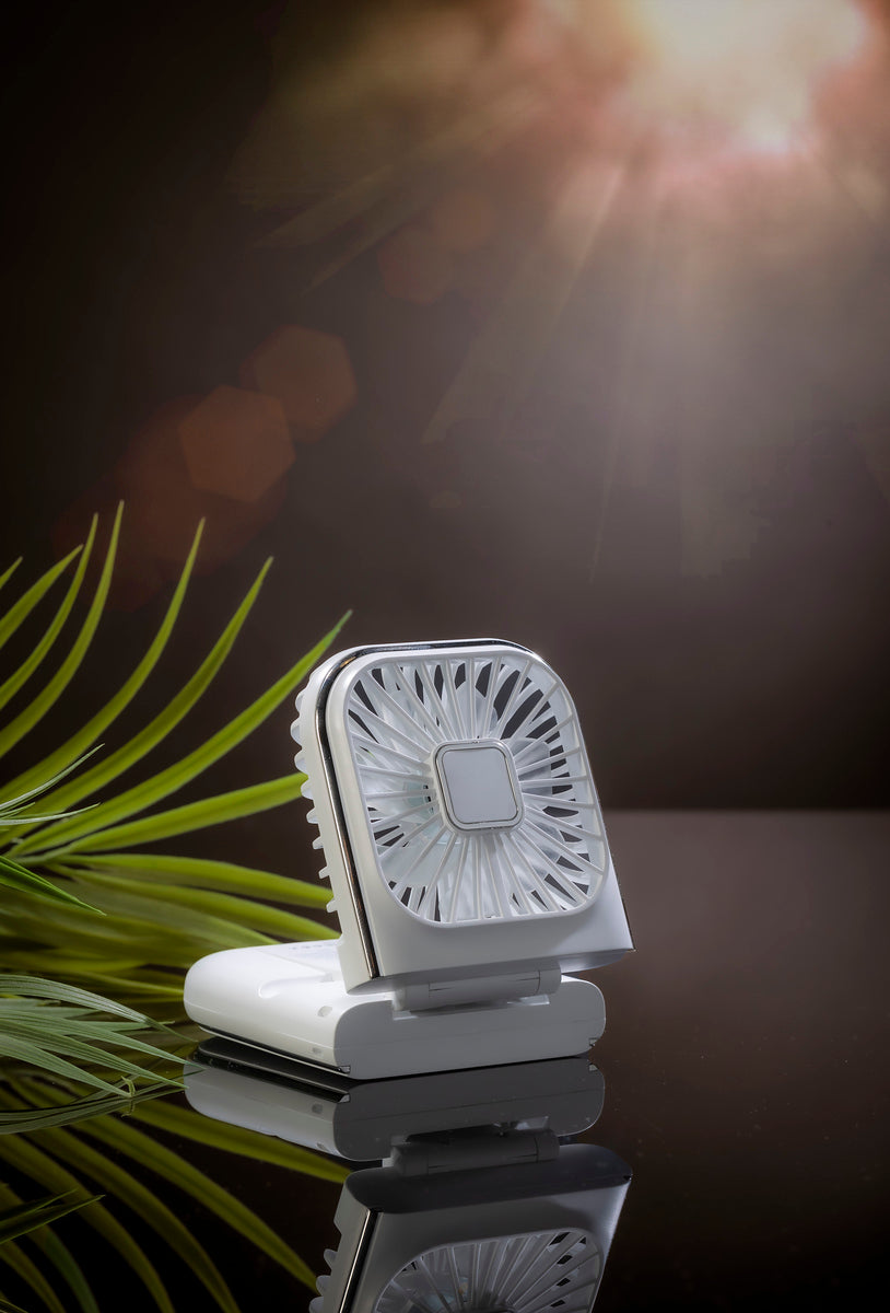 Fan  -Folding Handheld Fan