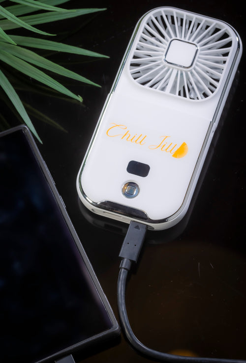Fan  -Folding Handheld Fan